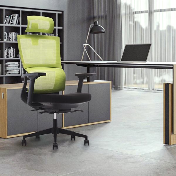 Kancelárska stolička DALENOR Grove, ergonomická, sieťovina, čierna/zelená ...