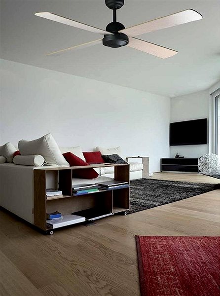 Fan FARO 33288 - Ceiling Fan IBIZA Lifestyle