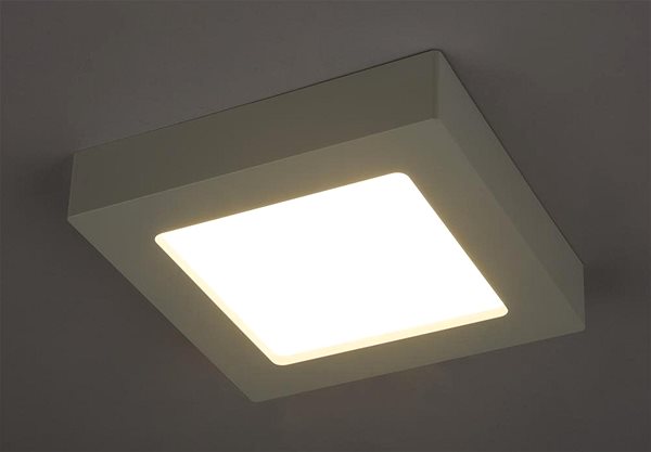 Ceiling Light Globo - LED Ceiling Light 1xLED/12W/230V Lifestyle