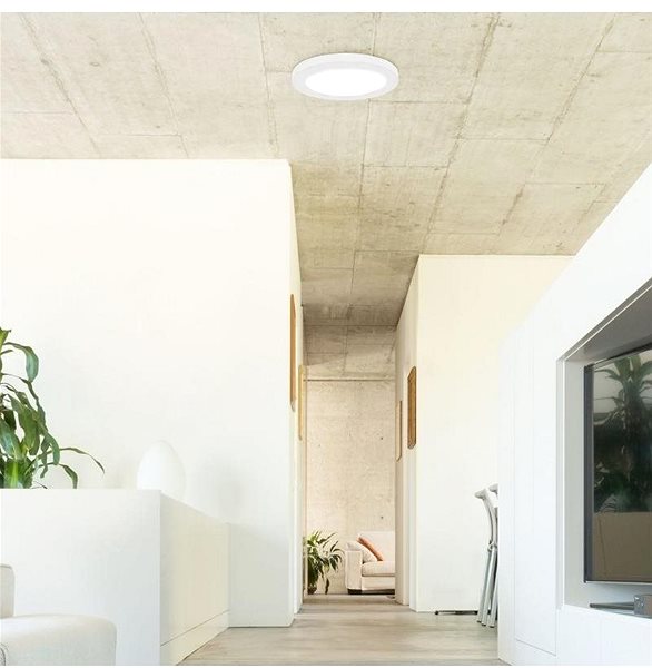Ceiling Light Rabalux - LED Ceiling Light with LED/30W/230V 33cm Lifestyle