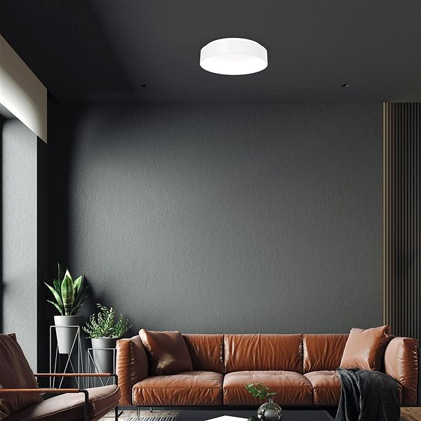 Ceiling Light LED Ceiling Light OHIO 1xLED/24W/230V ...