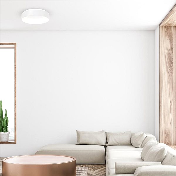 Ceiling Light LED Ceiling Light OHIO 1xLED/24W/230V ...