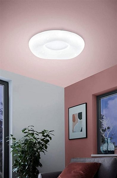 Ceiling Light Eglo - LED Ceiling Light LED/18W/230V + DO Lifestyle