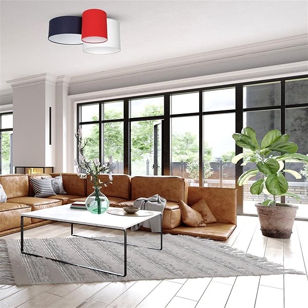 Ceiling Light Ceiling Light STAN 3xE27/60W/230V ...