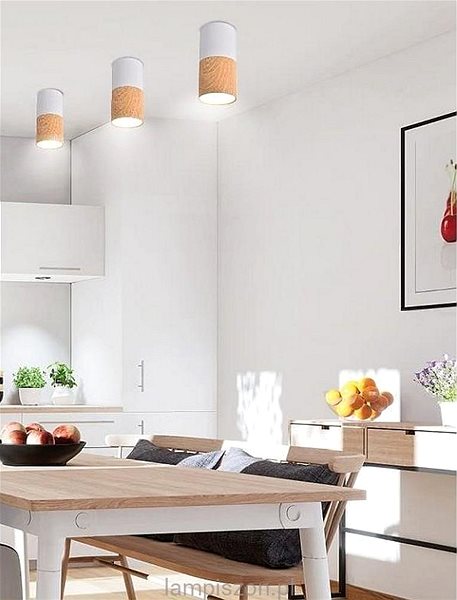 Ceiling Light Ceiling Light TUBA 1xGU10/50W/230V White ...