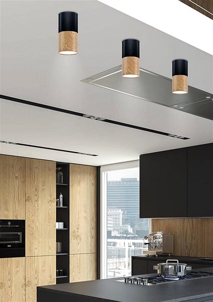 Ceiling Light Ceiling Light TUBA 1xGU10/50W/230V Black ...