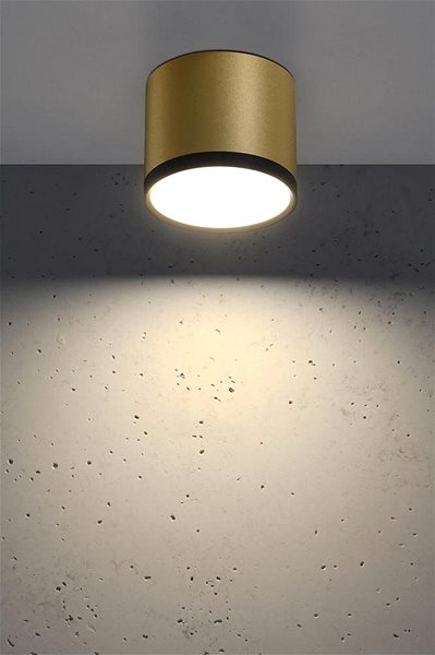Ceiling Light LED Ceiling Light TUBA LED/9W/230V Lifestyle