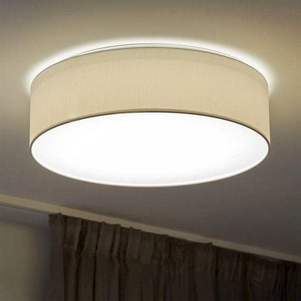 Ceiling Light LED Ceiling Light JOSEFINA LED/30W/230V Lifestyle
