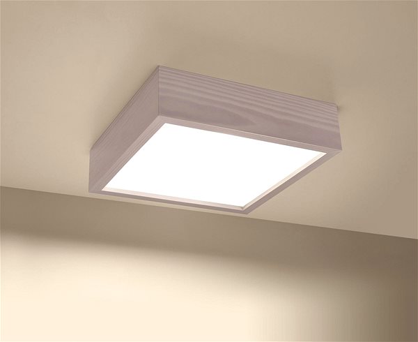 Ceiling Light Ceiling Light MADERA 2xE27/60W/230V Lifestyle