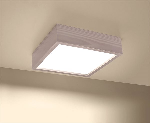 Ceiling Light Ceiling Light MADERA 2xE27/60W/230V ...