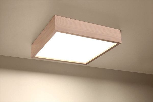 Ceiling Light Ceiling Light MADERA 3xE27/60W/230V Lifestyle
