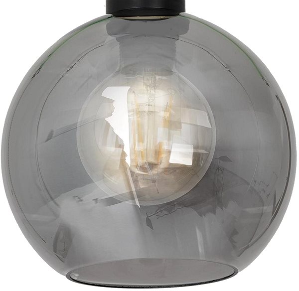 Ceiling Light Ceiling Light OMEGA 1xE27/60W/230V Features/technology