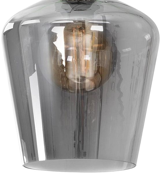 Ceiling Light Ceiling Light RICHMOND 1xE27/60W/230V Features/technology