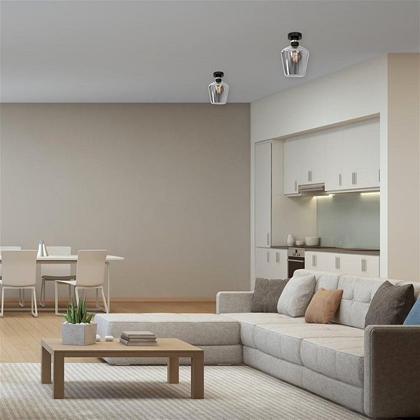 Ceiling Light Ceiling Light RICHMOND 1xE27/60W/230V Lifestyle