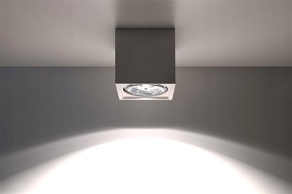 Ceiling Light Ceiling Light SEIDA 1xGU10/40W/230V Lifestyle