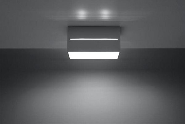 Ceiling Light Ceiling Light LOBO 2xGU10/40W/230V Grey Lifestyle