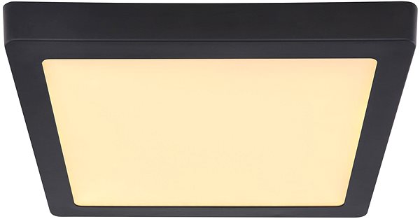 Ceiling Light Globo - LED Ceiling Light LED/22W/230V Screen