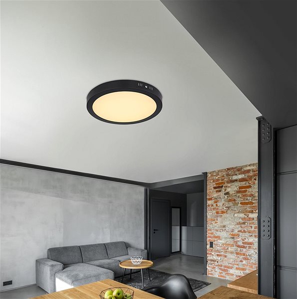 Ceiling Light Globo - LED Ceiling Light LED/22W/230V Lifestyle