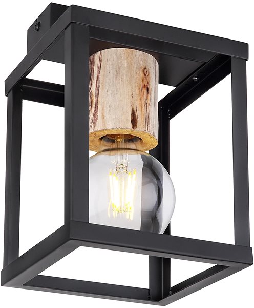 Ceiling Light Globo - Ceiling Light 1xE27/60W/230V Lateral view
