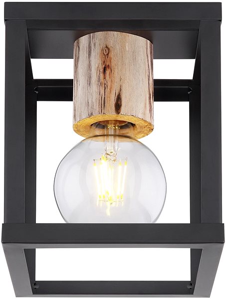 Ceiling Light Globo - Ceiling Light 1xE27/60W/230V Screen