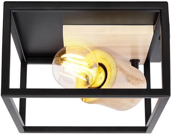 Ceiling Light Globo - Ceiling Light 1xE27/60W/230V Lateral view