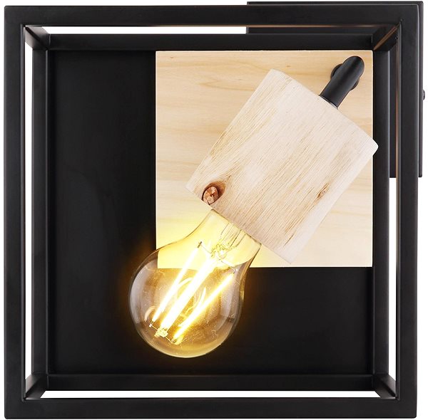 Ceiling Light Globo - Ceiling Light 1xE27/60W/230V Screen