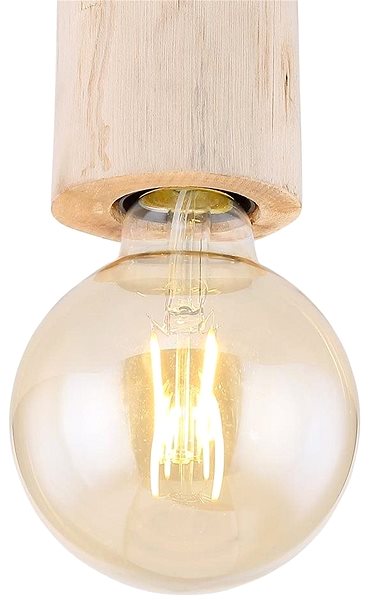 Stropní světlo Globo - Stropní svítidlo 1xE27/60W/230V Vlastnosti/technologie