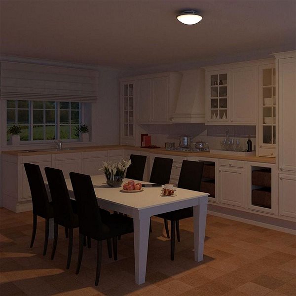 Ceiling Light Philips 30191/31/16 - Ceiling Light MYLIVING FALLOW 1xE27/18W/230V Lifestyle