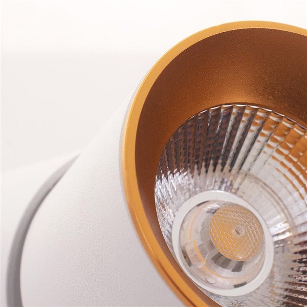 Stropní světlo LED Stropní bodové svítidlo LED/10W/230V Vlastnosti/technologie