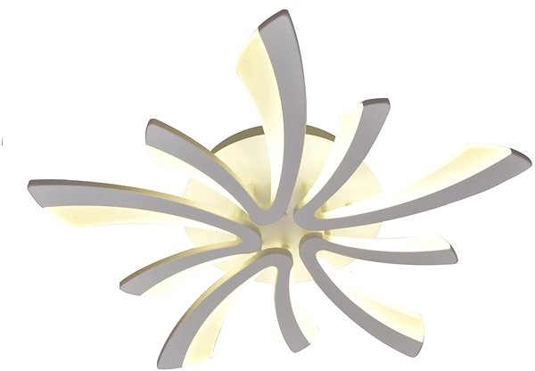 Ceiling Light LED Dimmable Ceiling Light FLORANCE 2xLED/50W/230V Screen