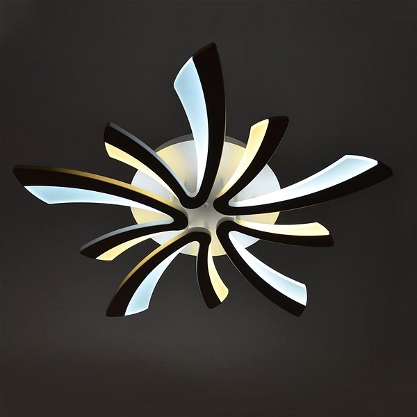 Ceiling Light LED Dimmable Ceiling Light FLORANCE 2xLED/50W/230V Lifestyle