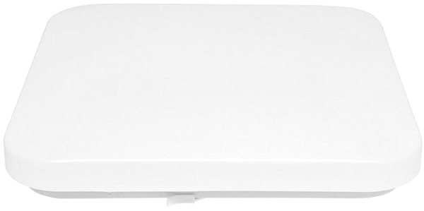 Ceiling Light LED Outdoor Ceiling Light LUKA LED/42W/230V IP44 Lateral view