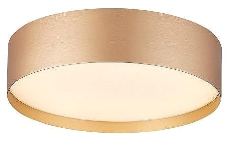 Ceiling Light LED Ceiling Light SOFIE LED/30W/230V 40cm Gold Screen