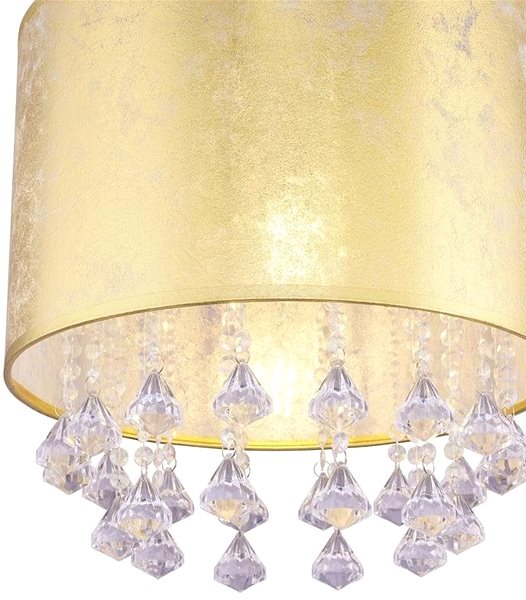 Ceiling Light Globo - Ceiling Light 1xE27/40W/230V Features/technology