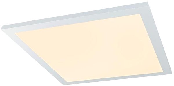 Ceiling Light Globo - LED Dimmable Ceiling Light LED/30W/230V + DO Lateral view