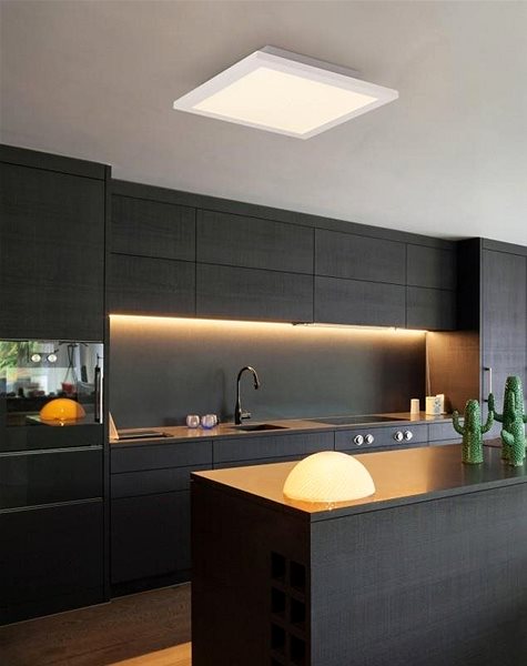 Ceiling Light Globo - LED Dimmable Ceiling Light LED/30W/230V + DO Lifestyle