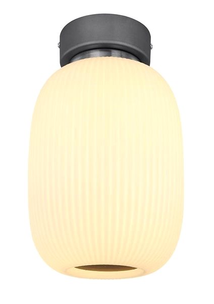 Ceiling Light Globo - LED Ceiling Light LED/21W/230V Screen