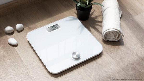 Bathroom Scale Cecotec 4250 Surface Precision 10000 ...