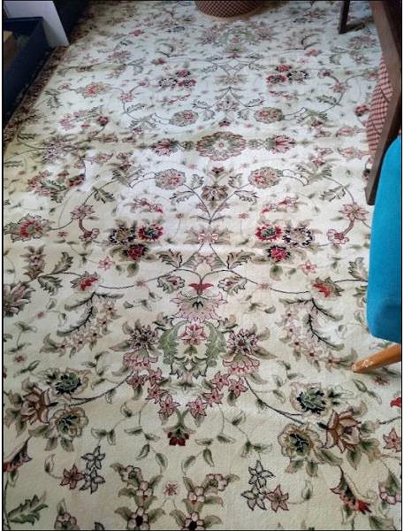 Koberec Kusový koberec Anatolia 5378 K Cream 100 × 200 cm ...