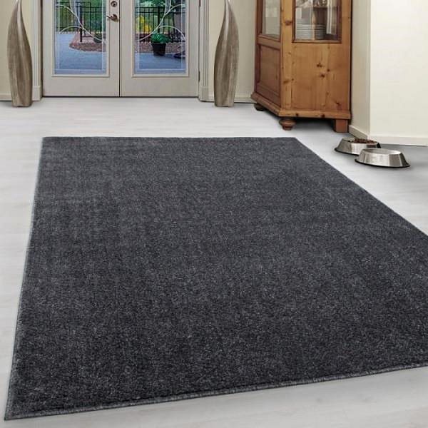 Koberec Kusový koberec Ata 7000 grey 60 × 100 cm ...