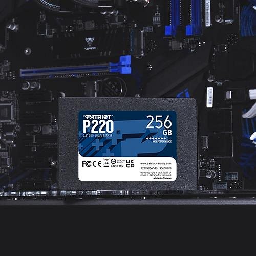 SSD-Festplatte Patriot P220 256 GB ...
