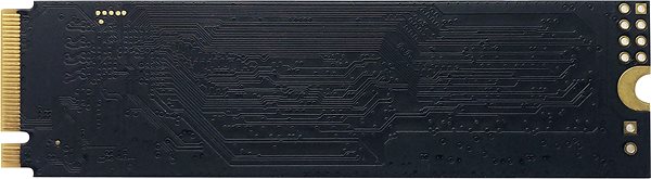 SSD-Festplatte Patriot P310 240 GB Rückseite