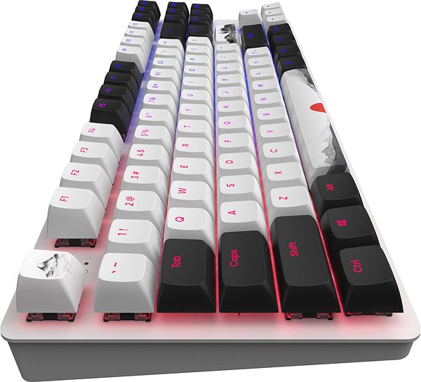 Gaming Keyboard Dark Project One 87 Fuji - UK ...