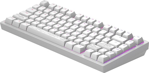 Gaming Keyboard Dark Project ALU Terra Nostra White - US ...