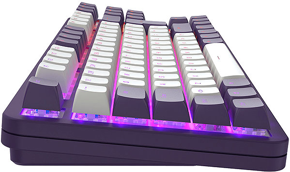 Gaming-Tastatur Dark Project ALU87A Violet/White - DE ...