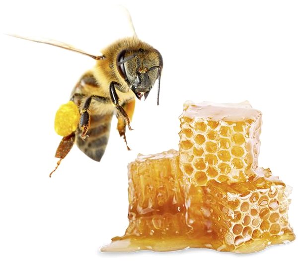 Skin peeling SENTIOTEC Skin peeling - sauna salt, honey, 200 g .