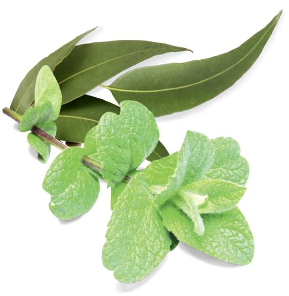 Skin peeling SENTIOTEC Skin peeling - sauna salt, mint 200 g .