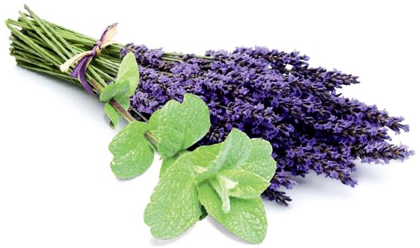 Skin peeling SENTIOTEC Skin peeling - sauna salt, lavender/mint 1 kg .