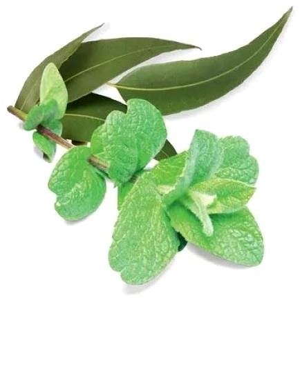Skin peeling SENTIOTEC Skin peeling - sauna salt, eucalyptus/mint 1 kg .