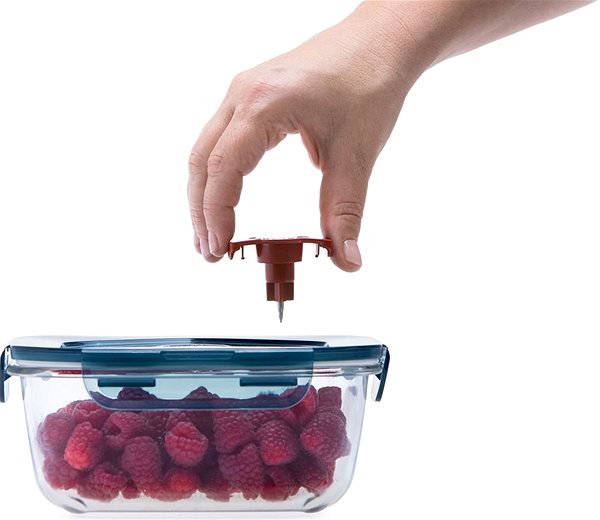 Vacuum Sealer Status 11-Piece Set, Kliki Lifestyle